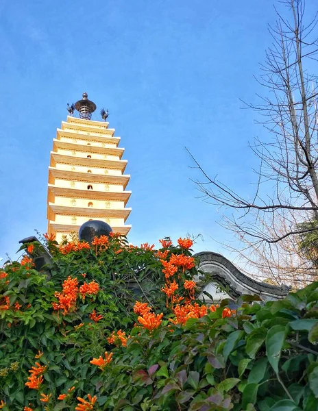 the city of the famous building in the park