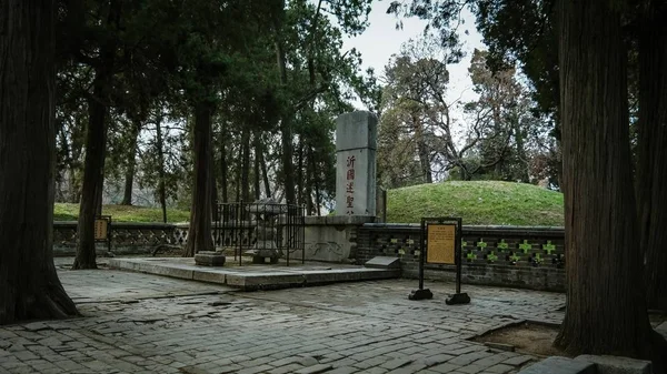 Hermosa Vista Del Parque — Foto de Stock