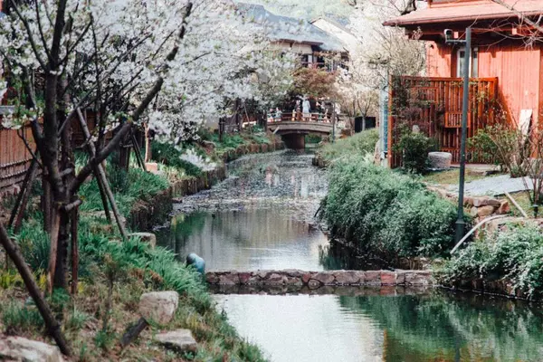 Hermoso Jardín Japonés Parque — Foto de Stock