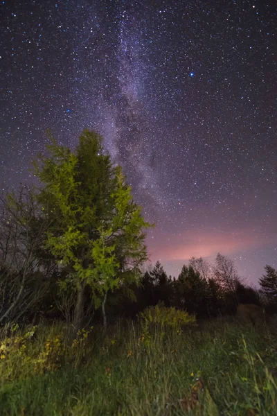 Galaxia Vía Láctea Noche — Foto de Stock