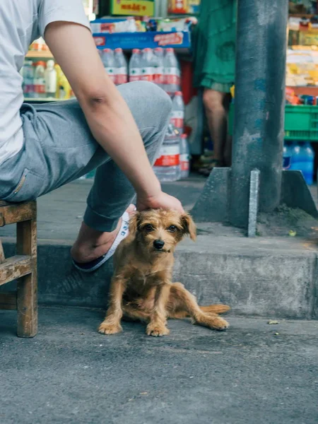 Hund Och Ägare Staden — Stockfoto