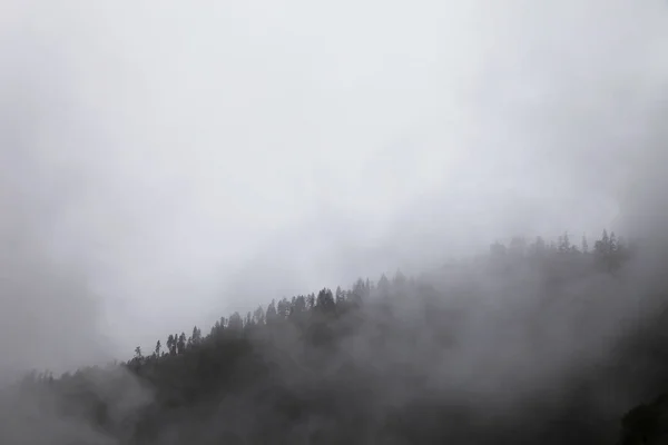Mlha Horách — Stock fotografie