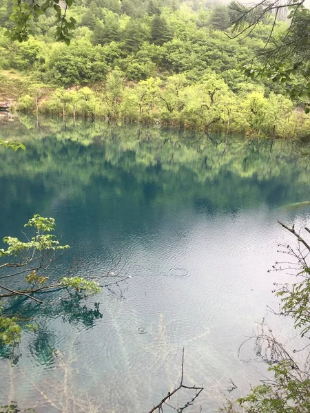 Hermoso Río Bosque — Foto de Stock