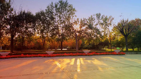 Hermoso Parque Ciudad — Foto de Stock