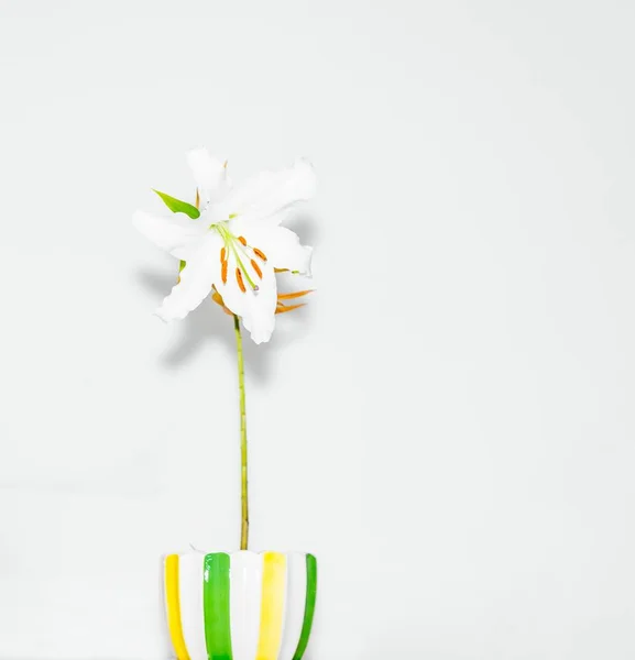 white cup of tea with yellow flowers on a blue background