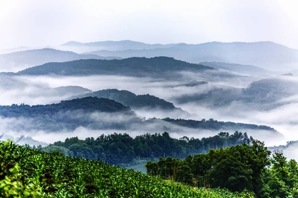 beautiful mountain landscape with mountains and clouds