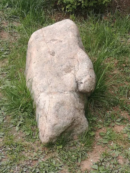 Muro Piedra Con Hierba Flores — Foto de Stock