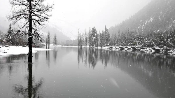 Lago Invierno Parque — Foto de Stock
