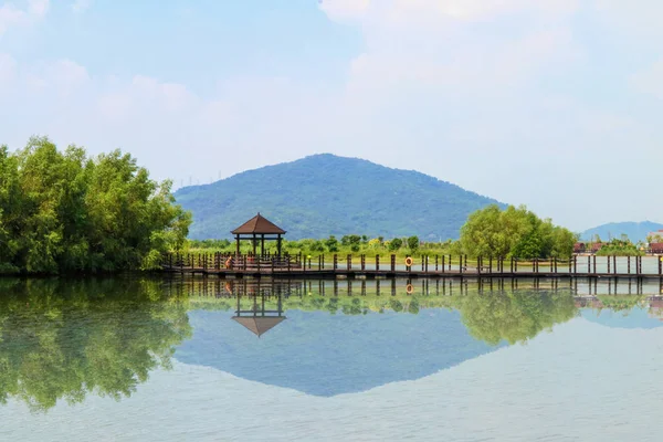 beautiful house with lake and houses