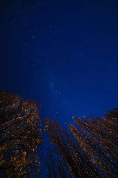 Cielo Nocturno Estrellado Con Estrellas Brillantes Astronomía — Foto de Stock