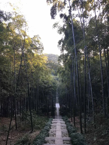 Pintoresca Vista Del Parque Ciudad — Foto de Stock