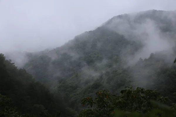 Niebla Humo Niebla — Foto de Stock