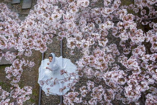 young asian woman in Cherry Blossom garden