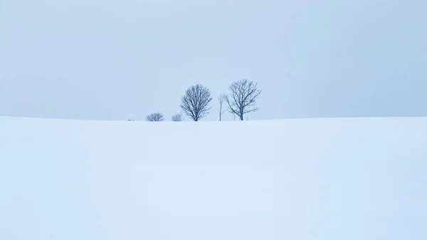 Bela Paisagem Fundo Natureza — Fotografia de Stock