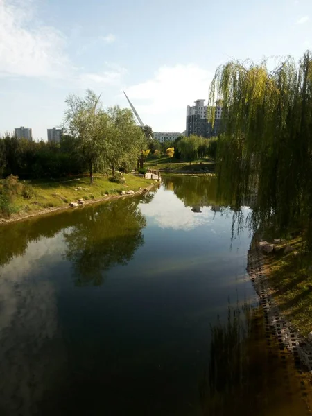 Reflejo Del Río Parque — Foto de Stock