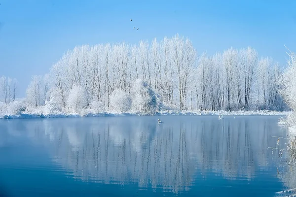 Winter Landscape Snow Covered Trees — Stock Photo, Image