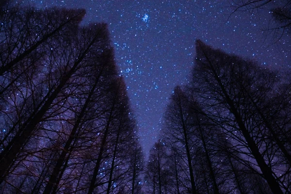Estrellas Brillantes Nebulosa Espacial Cielo Nocturno Estrellado Astrofotografía — Foto de Stock