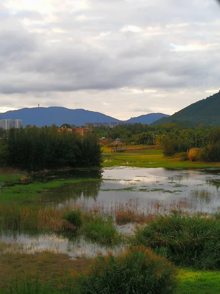 Hermoso Paisaje Otoñal Con Árboles — Foto de Stock