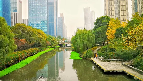 Hermosa Vista Del Parque Ciudad — Foto de Stock