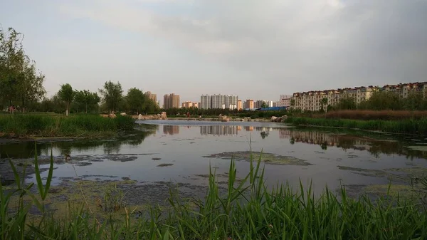 Vista Del Río Parque — Foto de Stock