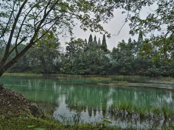 Estanque Parque — Foto de Stock