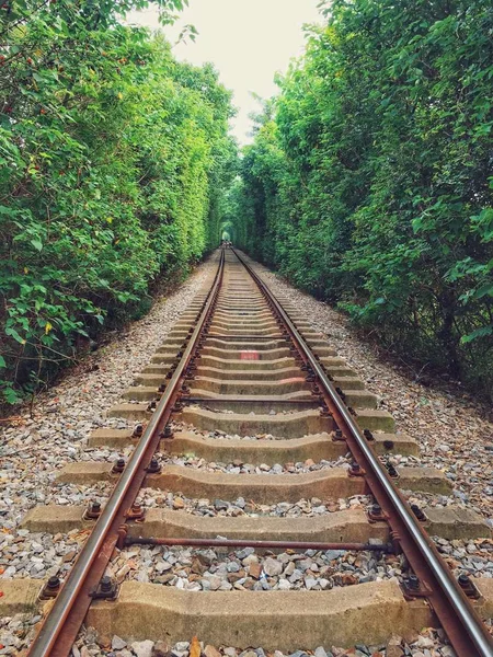 Trilhos Ferroviários Ferrovia Transporte Ferroviário — Fotografia de Stock