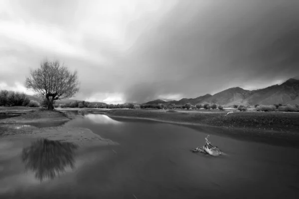 black and white lake in the morning