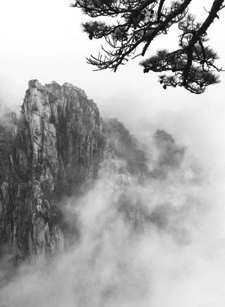 Paesaggio Strutturato Con Bianco Nero — Foto Stock