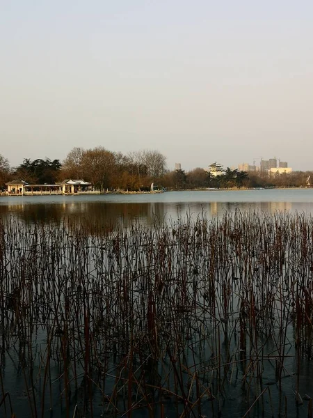 Paisaje Del Río Parque — Foto de Stock