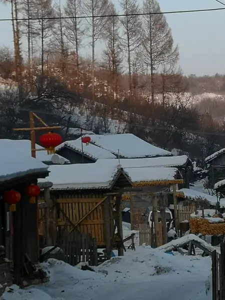 stock image winter landscape with snow and houses