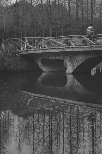 black and white bridge in the park