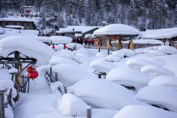 Árboles Cubiertos Nieve Parque Invierno — Foto de Stock