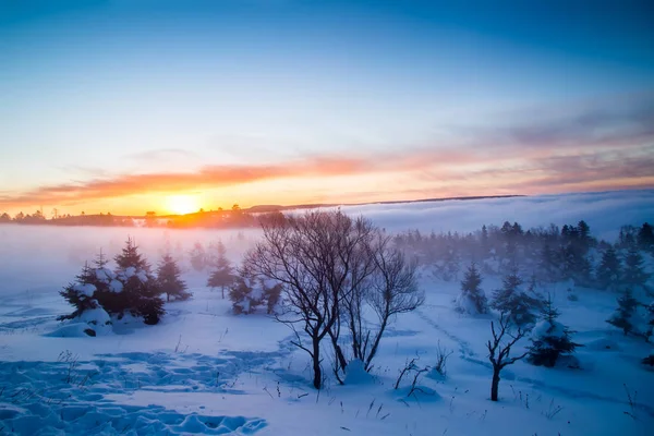 Paisaje Invernal Con Nieve Árboles — Foto de Stock