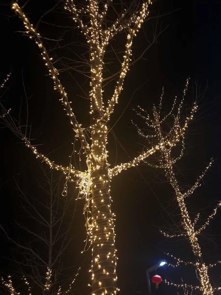 Árbol Navidad Con Luces Bokeh — Foto de Stock