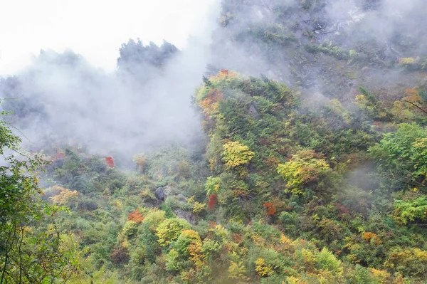 Bosque Las Montañas — Foto de Stock