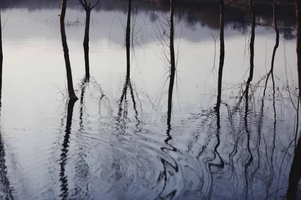 Paisaje Invierno Con Reflejo Lago — Foto de Stock