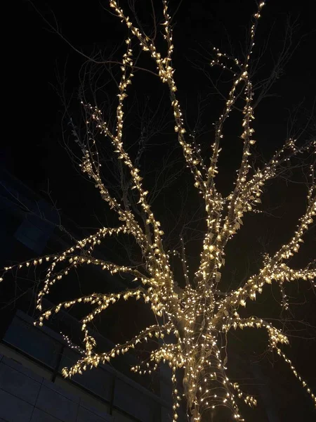 Árbol Navidad Con Luces Bokeh — Foto de Stock