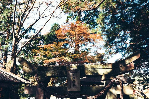 Hermoso Jardín Japonés Japón — Foto de Stock