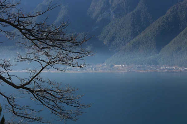 Paisaje Invierno Con Lago Árboles — Foto de Stock