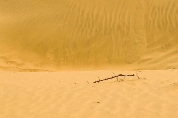 landscape of desert, sand and sahara