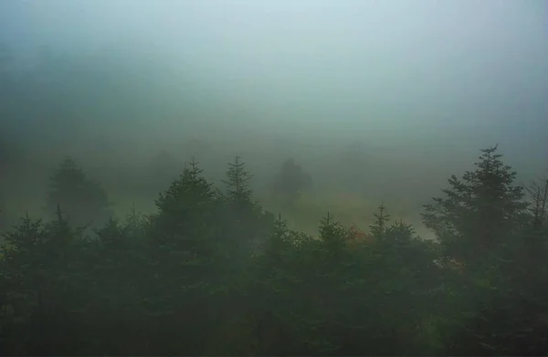 Bela Paisagem Montanha Conceito Natureza — Fotografia de Stock