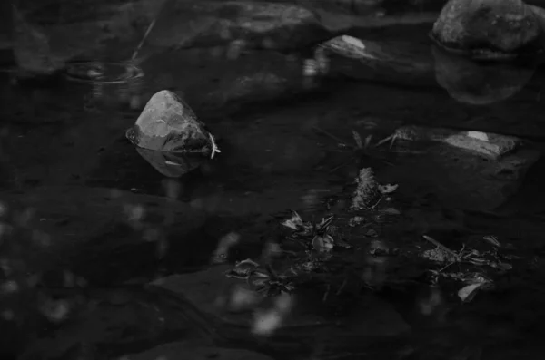 Foto Blanco Negro Del Mar Muerto — Foto de Stock