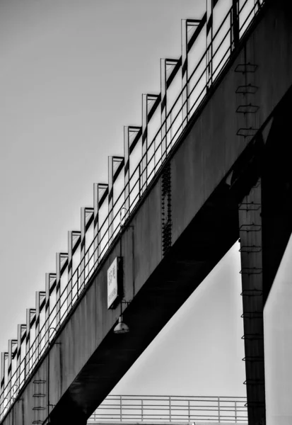 Foto Blanco Negro Edificio Moderno — Foto de Stock