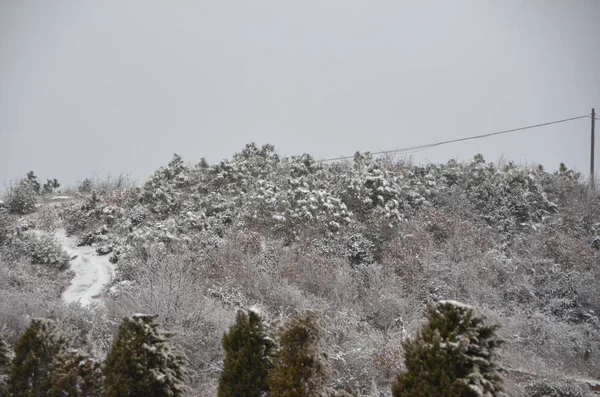 stock image Beautiful snowy winter landscape