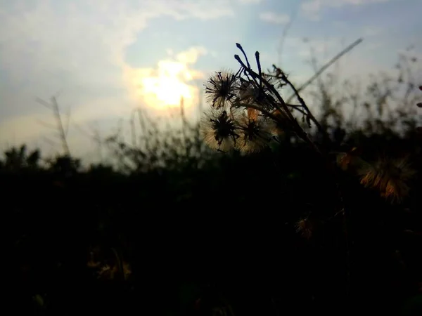 Hermoso Atardecer Naturaleza Viajes — Foto de Stock