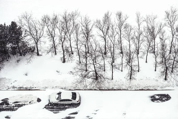 Hermoso Paisaje Invierno Nevado — Foto de Stock