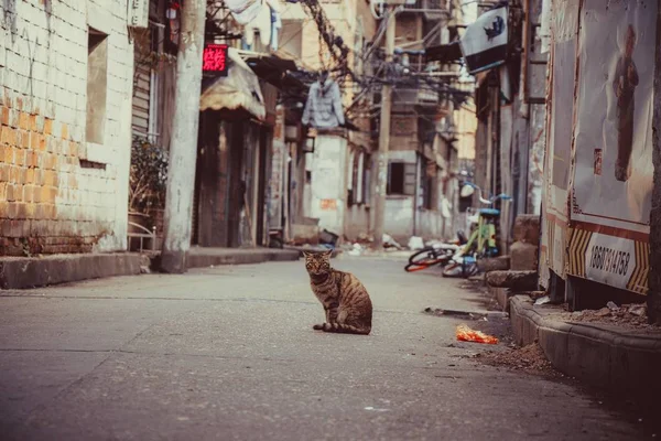 Ciudad Del Casco Antiguo Del Gato — Foto de Stock