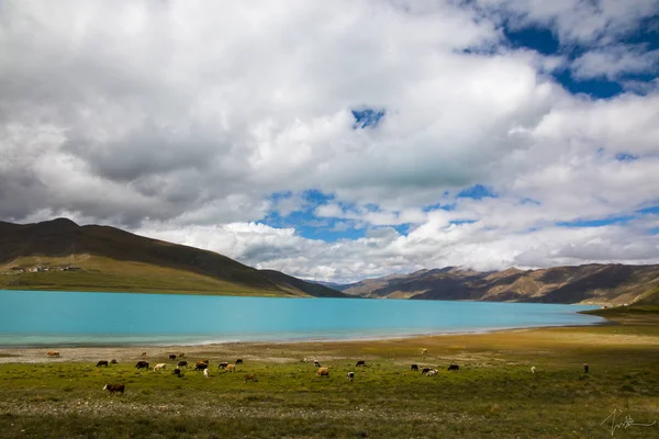 Hermoso Paisaje Con Lago Montañas — Foto de Stock