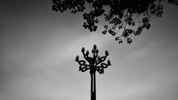 black silhouette of a tree with a white background