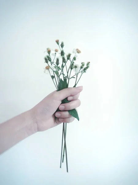 Mano Sosteniendo Ramo Flores Sobre Fondo Blanco — Foto de Stock